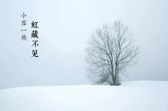 1700614875424988.jpg 2023112264001.jpg