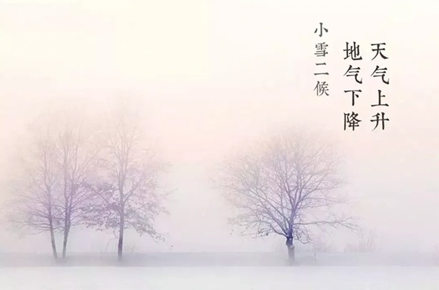 1700615091193131.jpg 2023112264002.jpg