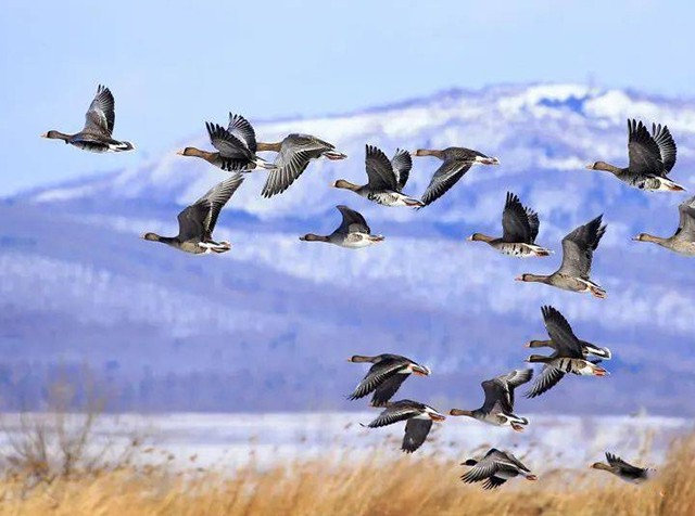 1704502247638954.jpg 20240105-640-01.jpg