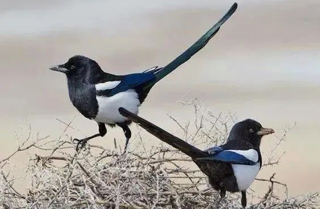 1704502253148949.jpg 20240105-640-02.jpg